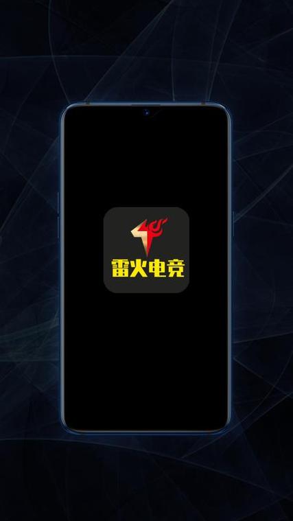 电竞版是什么意思