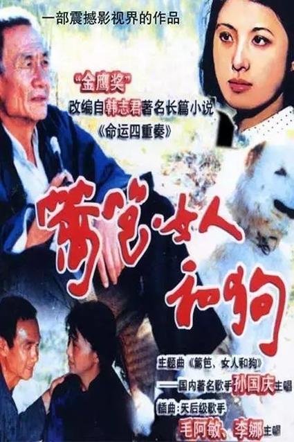 狗和女人免费看全集电视剧