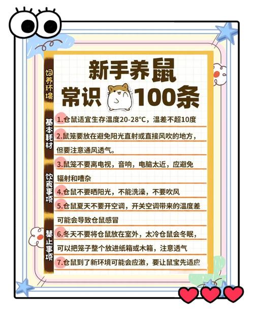 鼠先锋多少级携带