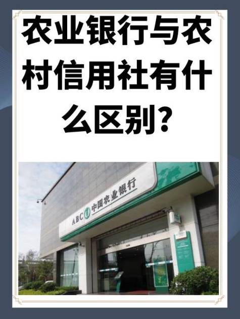 农行是农村信用社吗缩略图