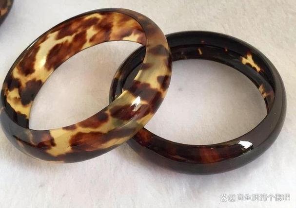 玳瑁是什么