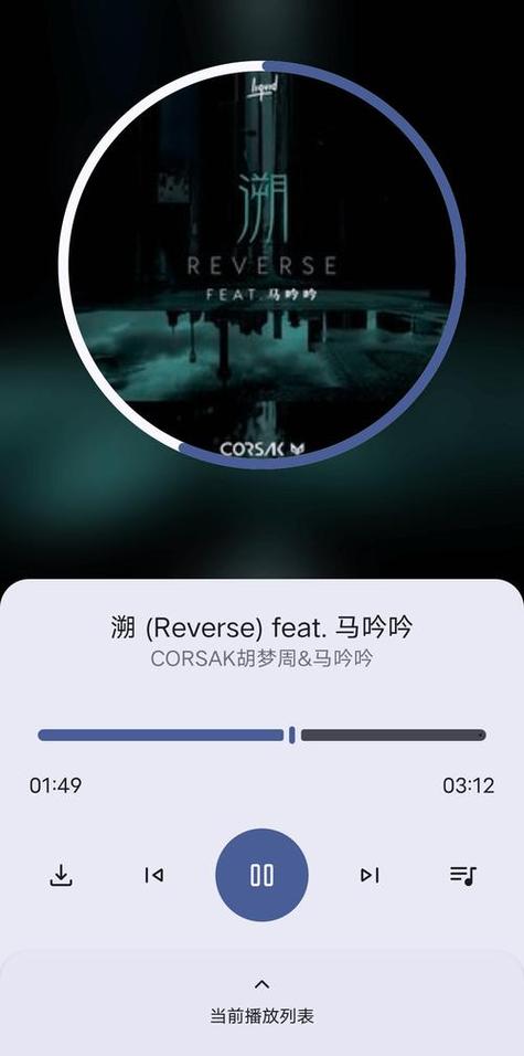 只音音乐破解版下载