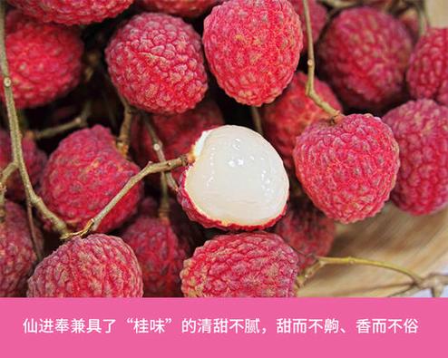 南方优品官网缩略图