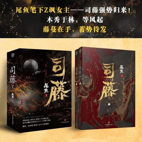 半妖司藤小说