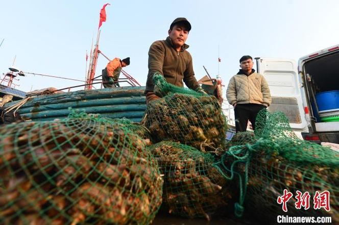 渔民海鲜怎么样