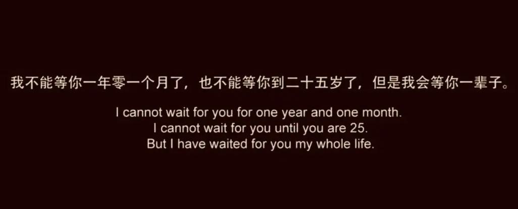 抖音里加电影双语字幕