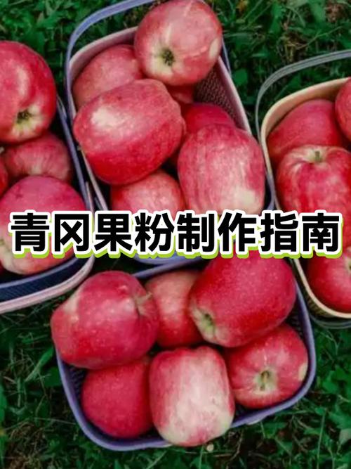 果粉是什么意思