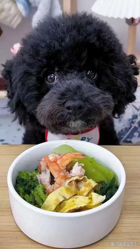 老肉和泰迪的解说缩略图
