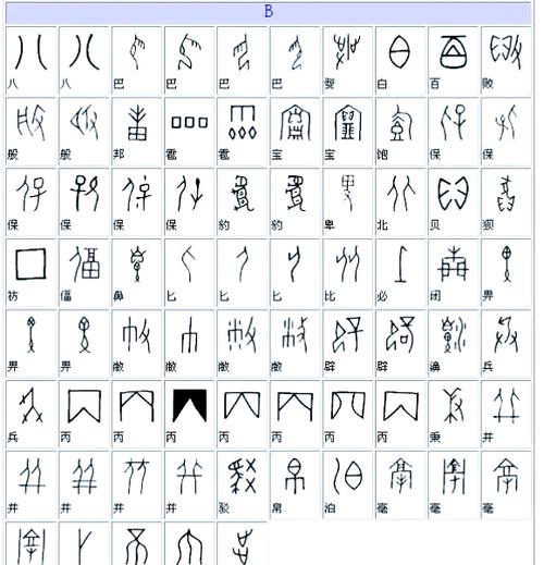 表格内文字显示不完整