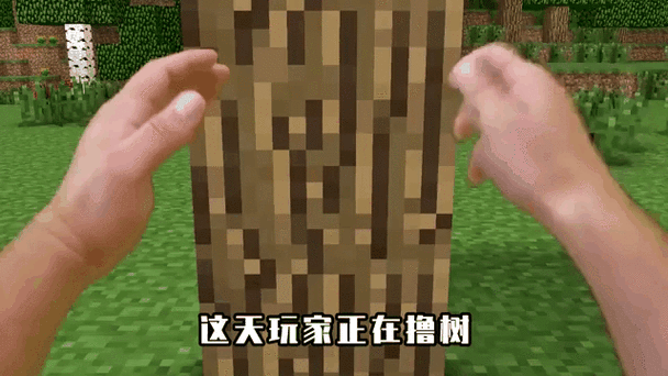 我的世界70度视野背视角