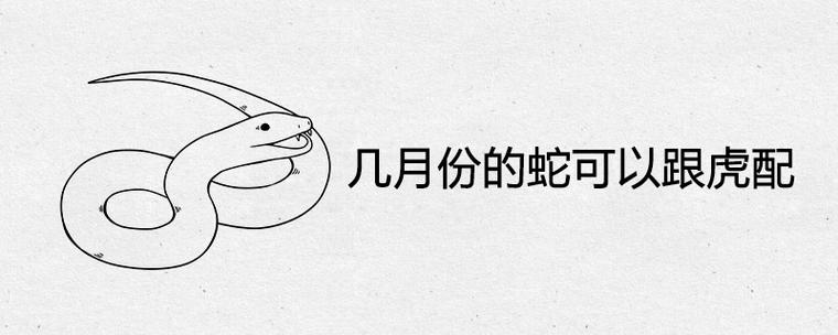 几月份的蛇可以跟虎配