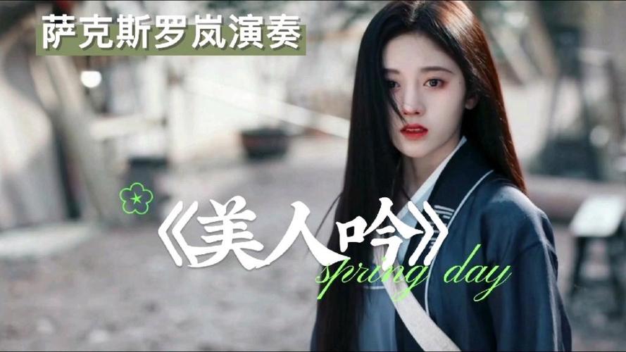 萨克斯独奏美人吟截图