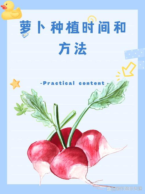 保卫萝卜4最短时间击败boss