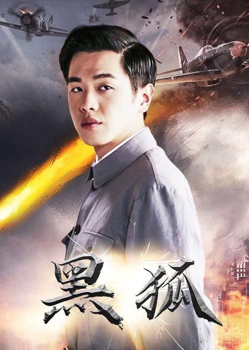 黑狐电视剧免费观看