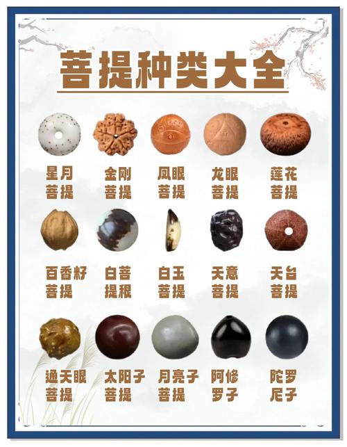 菩提子有几种颜色