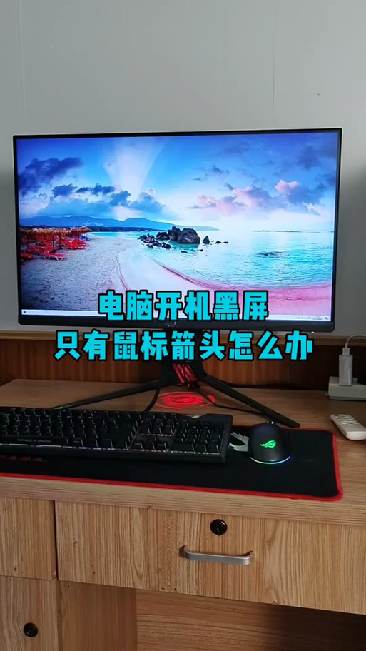 电脑开机黑屏只有鼠标能动