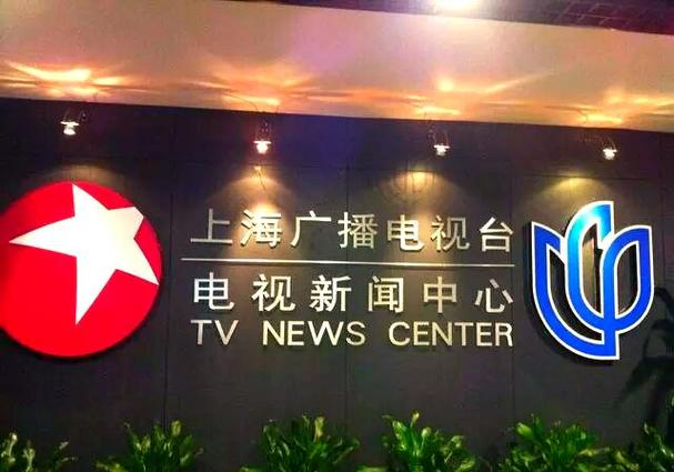 东上海卫视节目表搜视网在线回播图标