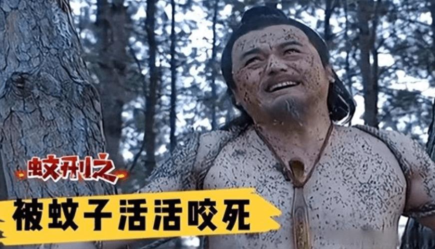 蚊子的十大酷刑