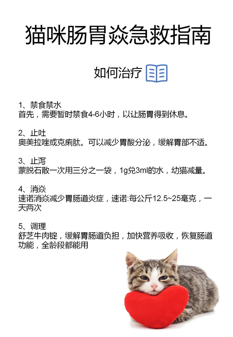 猫肠胃炎几天会恢复食欲