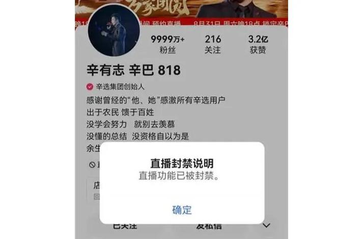 辛巴有多少个亿图标