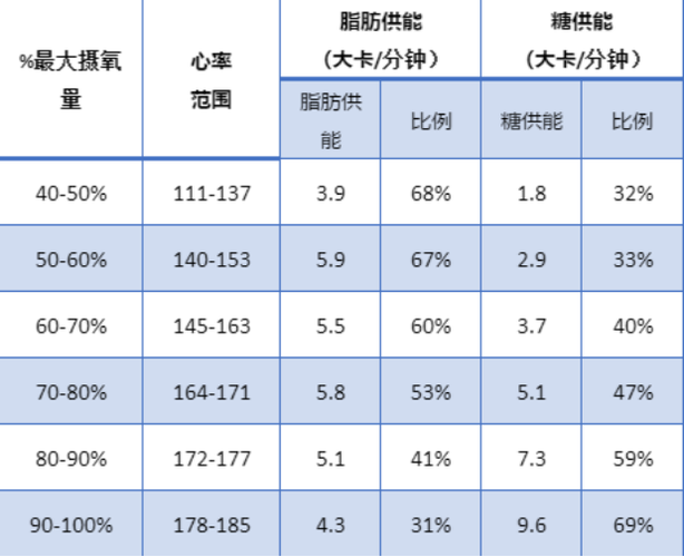 有氧耐力心率燃脂吗截图