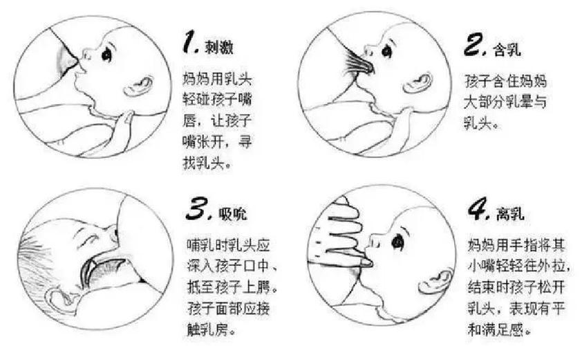 母乳喂养教程(1-30)