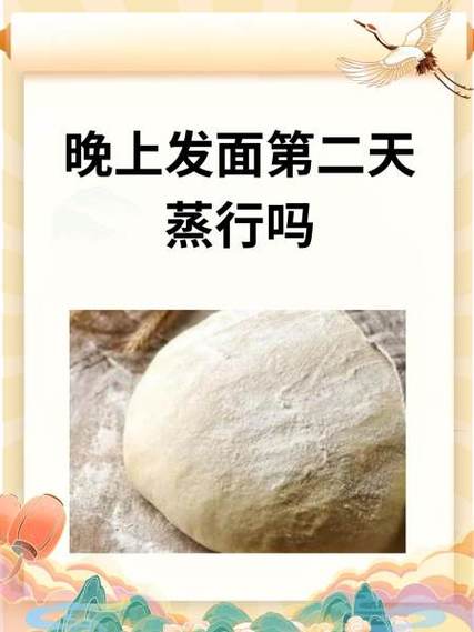 晚上活的面能放到第二天吗
