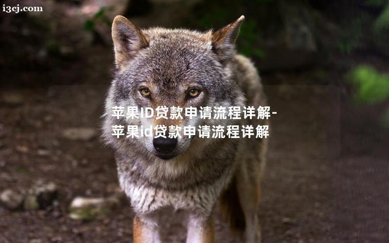 苹果手机放款口子截图