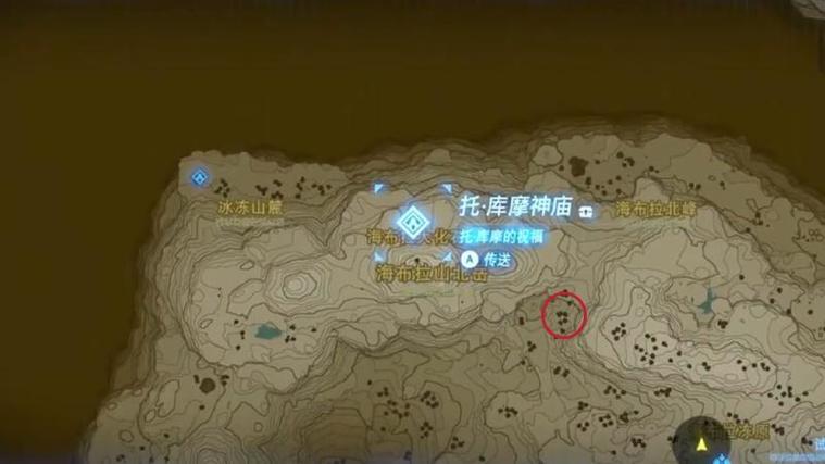塞尔达巨鲸之骨在哪