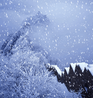 北方雪花