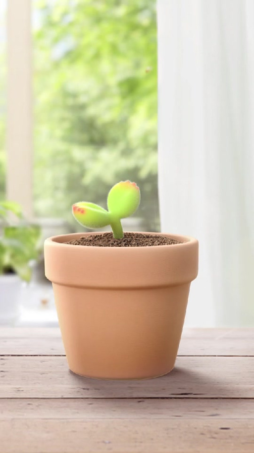 萌芽熊是什么