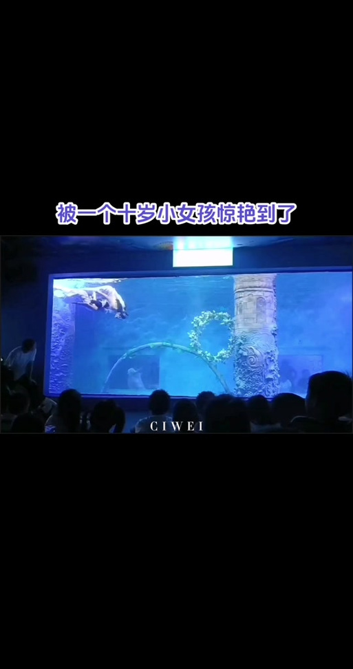 给美人鱼公主做实验