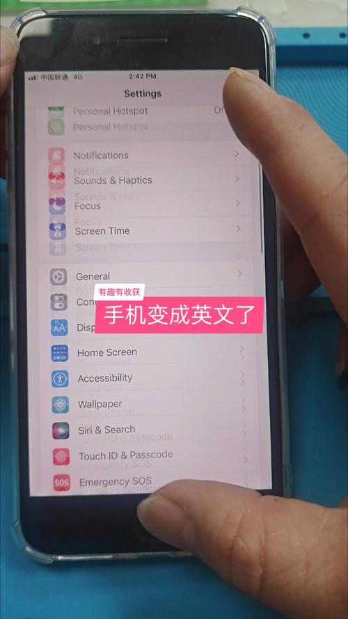 苹果手机把英文设置成中文