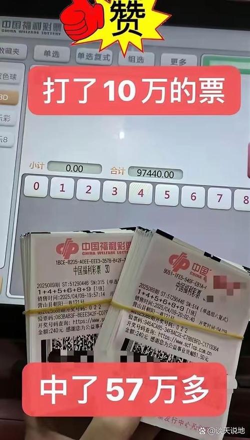 福彩3d能赚钱吗