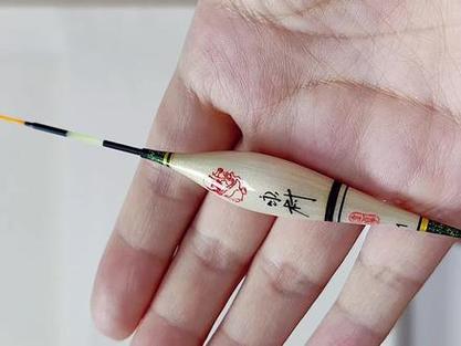 中国公认夜光漂第一名