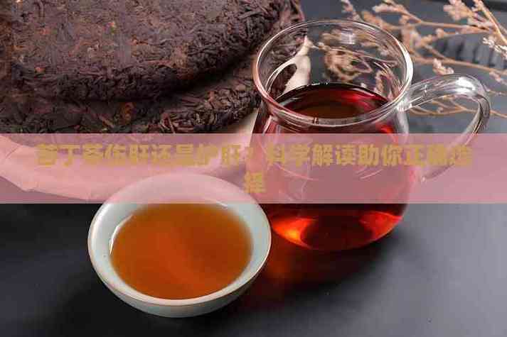 苦丁茶伤肝还是护肝截图
