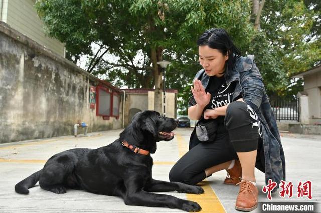 宠物行为训练师