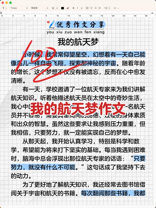航空梦小说