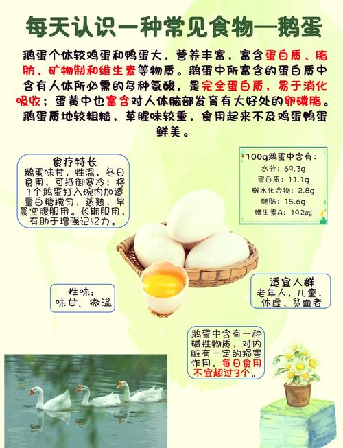 鸡,鸭,鹅蛋哪个有营养
