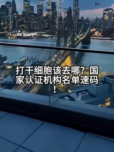 干细胞去哪里打