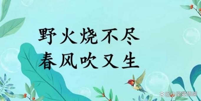 燃烧的经典句子