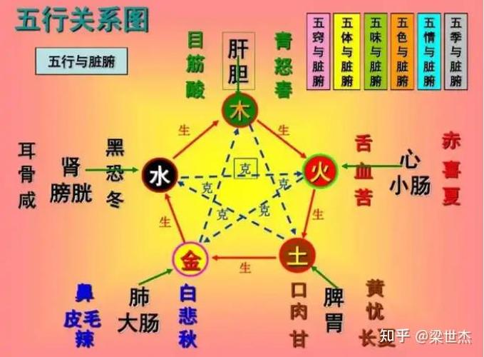 少阴之人的形态特征