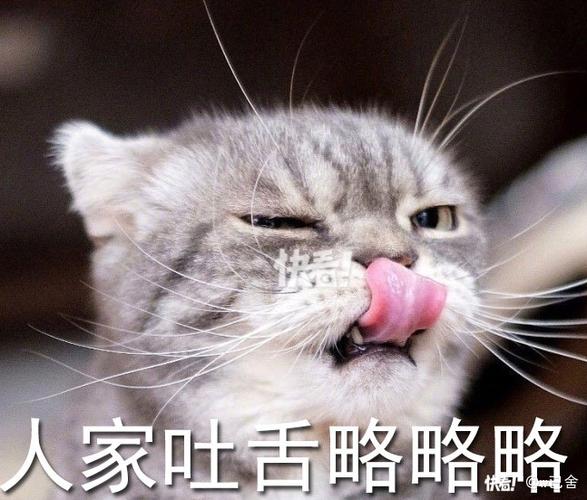 又凶又可爱的表情包缩略图