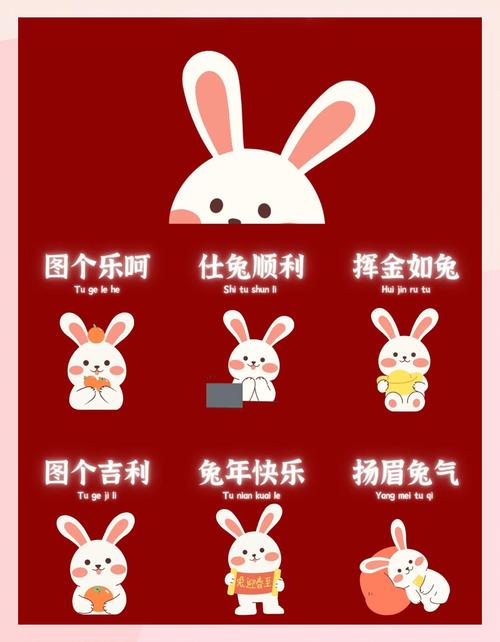 兔喜共配最新版