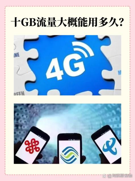 10个g流量看视频能用多久缩略图