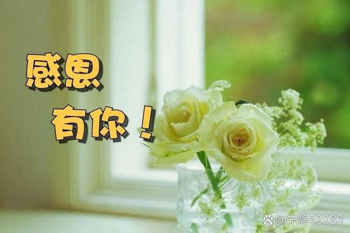 感恩美好的一切,感恩一切的美好