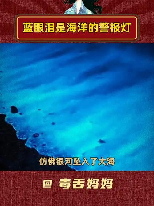 晚上叫露营,白天叫啥