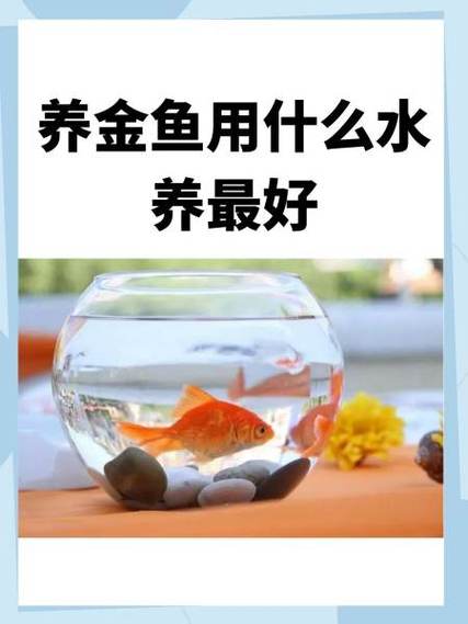 养小金鱼用什么水合适