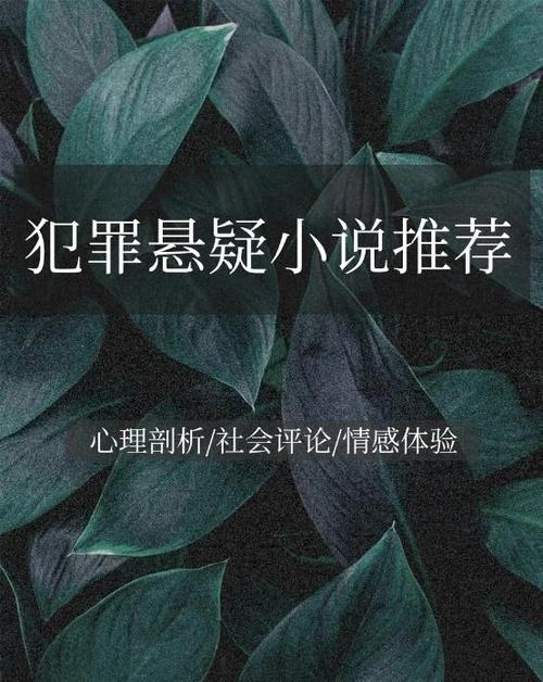 十年冤家小说