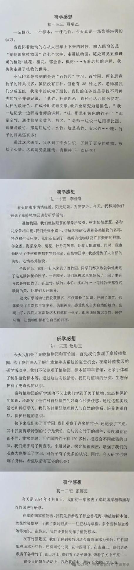 研学总结心得
